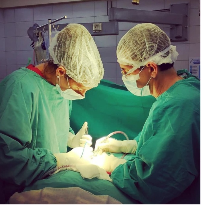 Primeros años juntos